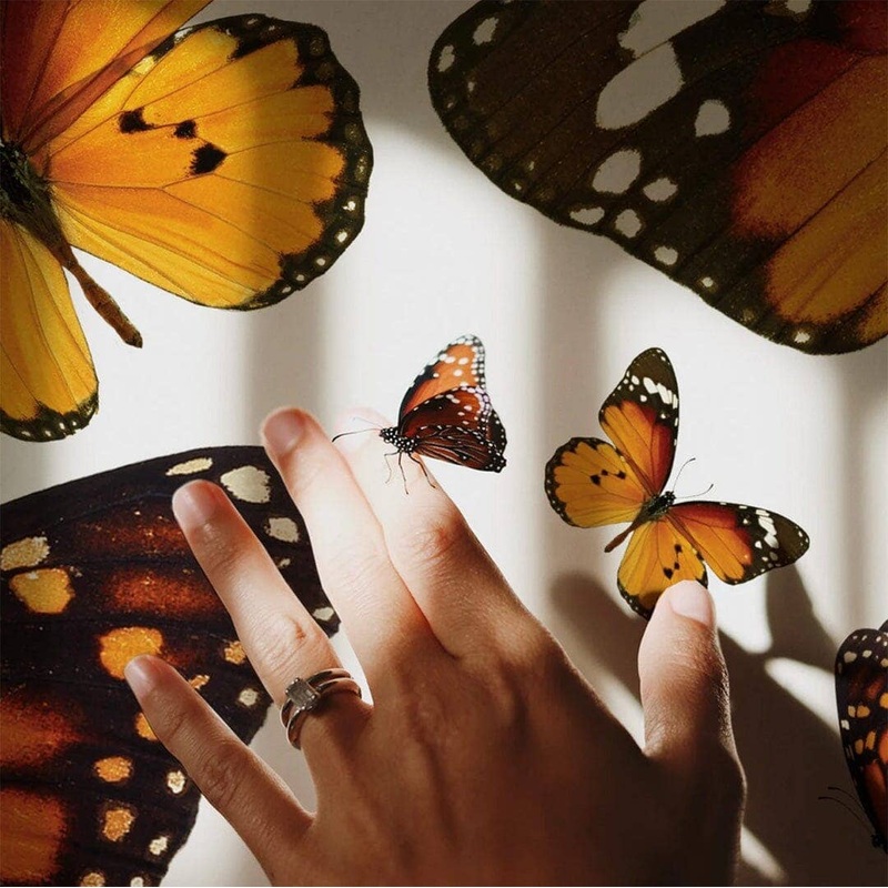 Madam Butterfly Wall Decals Full Order Standard Wall