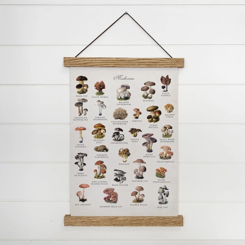 Hangout Home Mushroom Chart