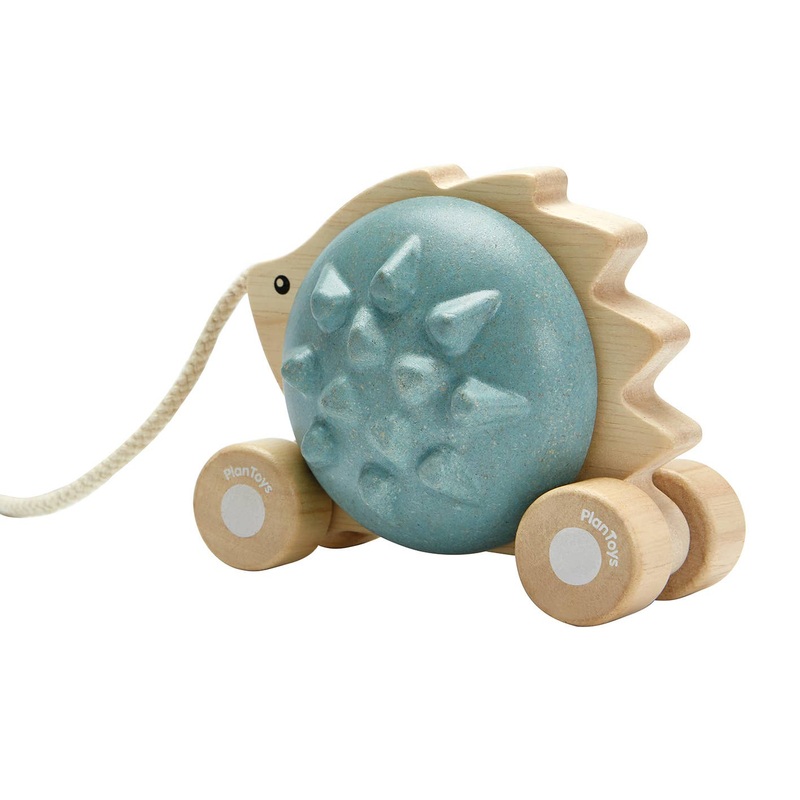 Pull-Along Hedgehog – Blue