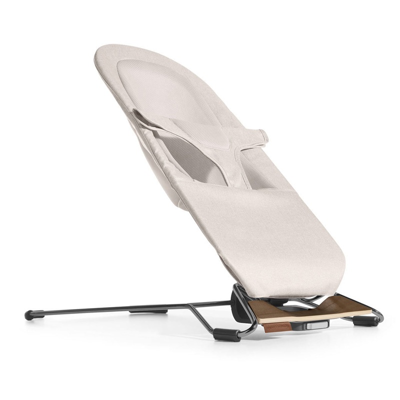 Mira 2-in-1 Bouncer & Seat Charlie