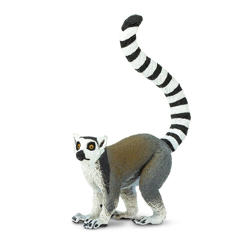 Ring – Tailed Lemur – 292229