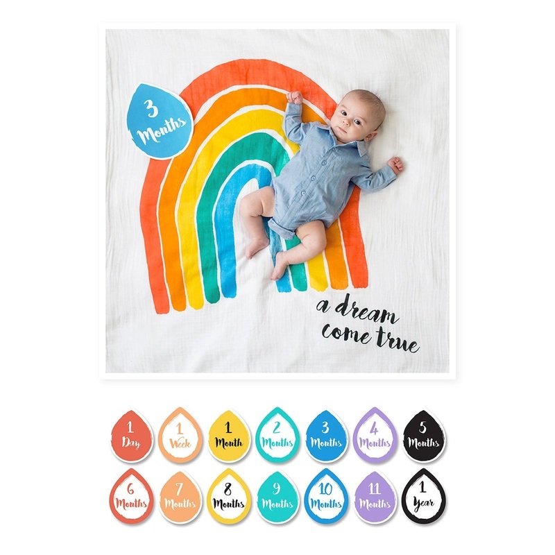 A Dream Come True Milestone Blanket