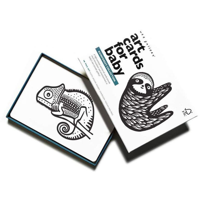 Art Cards | Rainforest