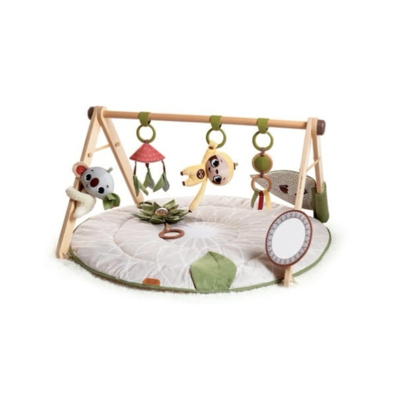 Tiny Love Boho Chic Luxe Developmental Gymini