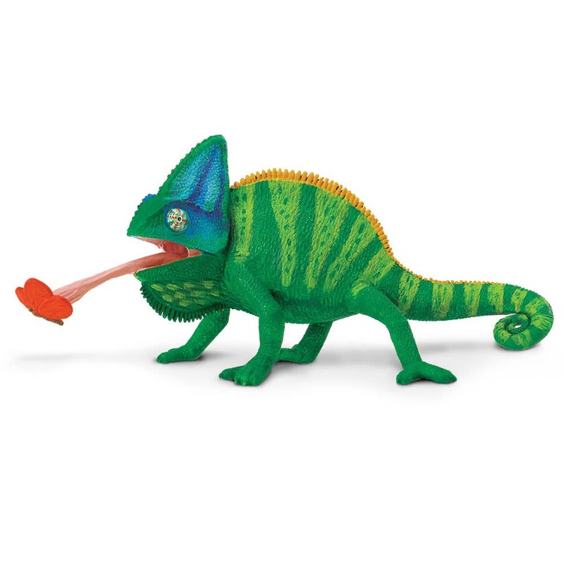 Veiled Chameleon – 267829