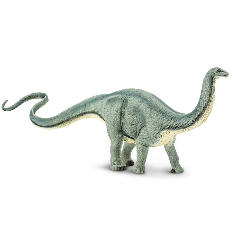 Apatosaurus – 300429