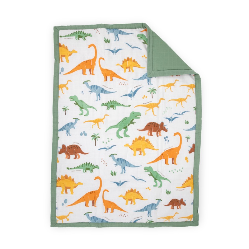 Cotton Muslin Toddler Comforter – Dino Names Dino Names