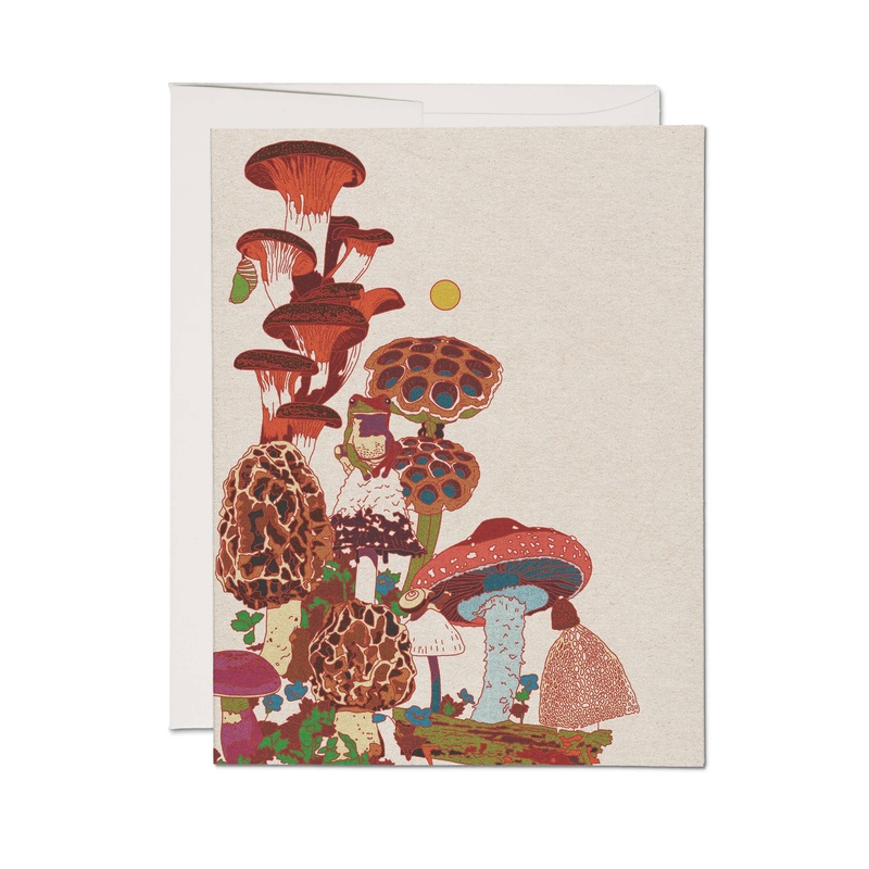 Frog and Fungi greeting card Single