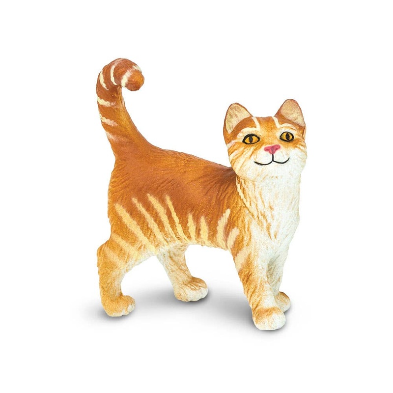 Tabby Cat – 235529