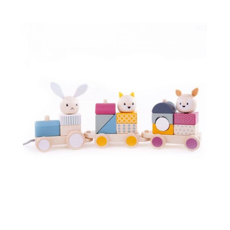 Activity Pull Along Train – FSC 100%