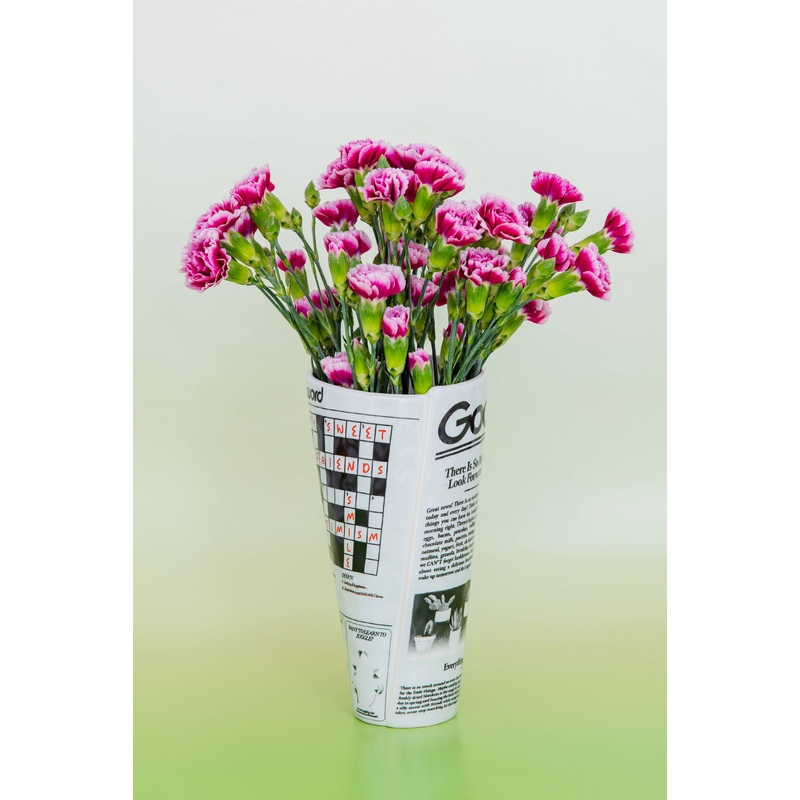 Vase, Newspaper