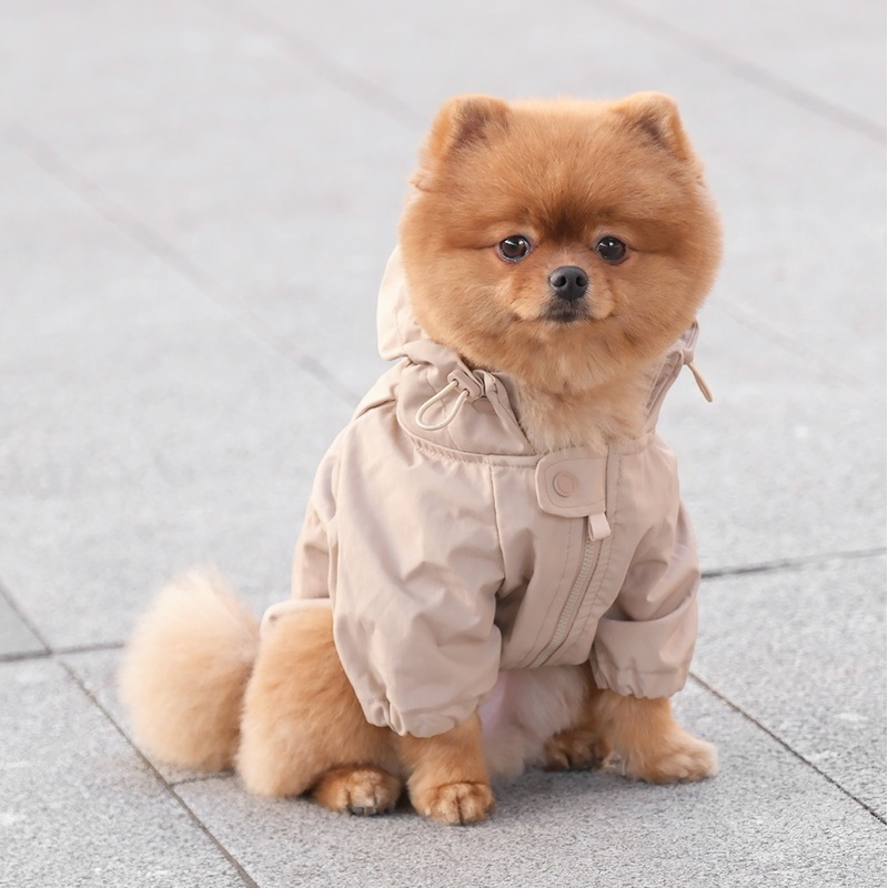 BROOKLYN//DOG CLOTHING//APPAREL Camel S