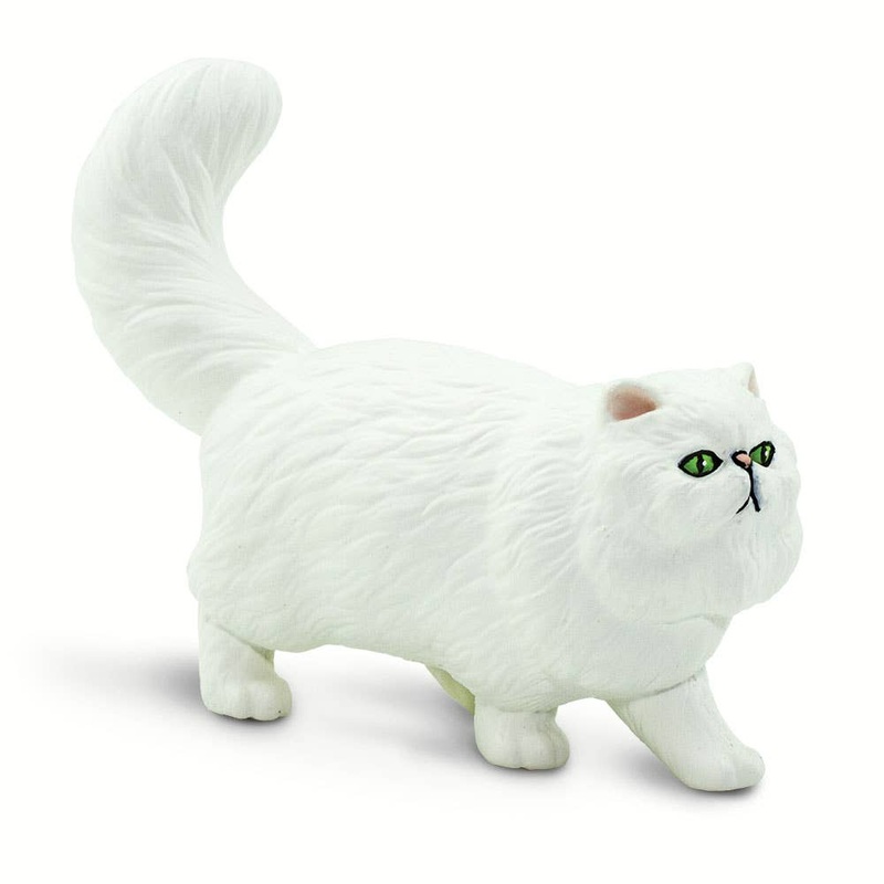 Persian Cat – 100203