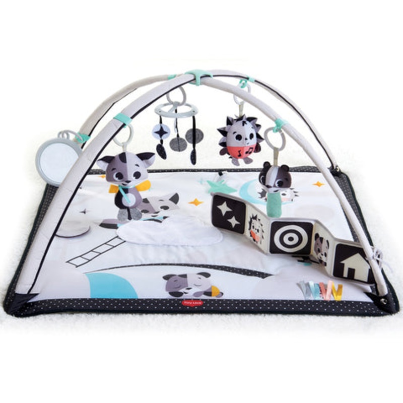 Tiny Love Magical Tales Gymini