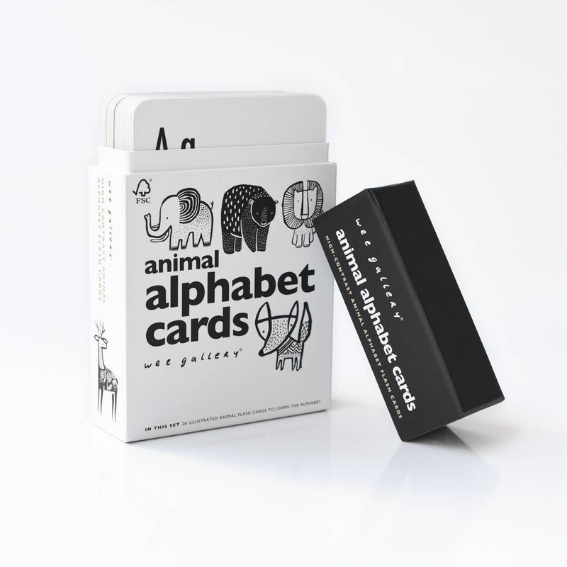 Alphabet Cards | Animal