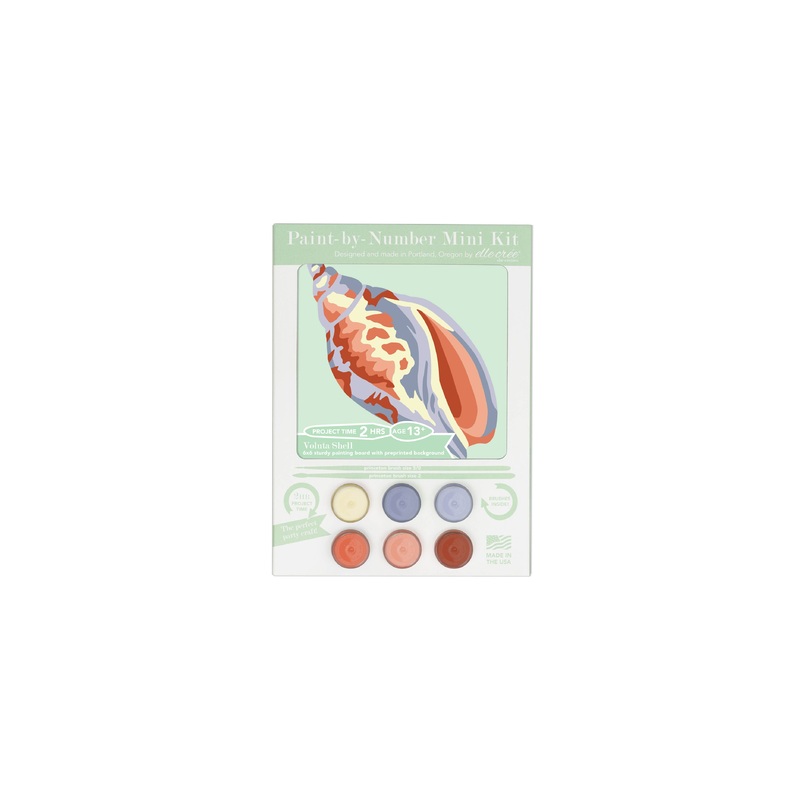 Voluta Shell MINI Paint-by-Number Kit