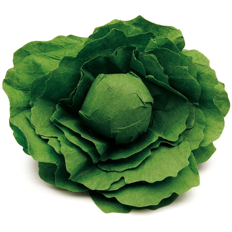 Assorted Fruit and Vegetables Lettuce