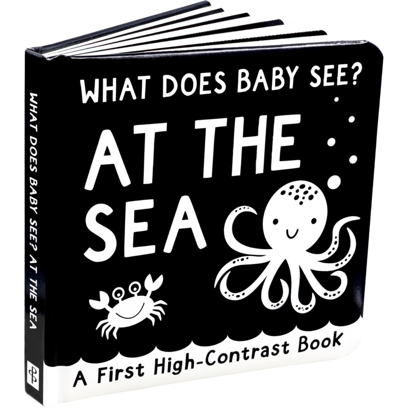 What Does Baby See? At The Sea
