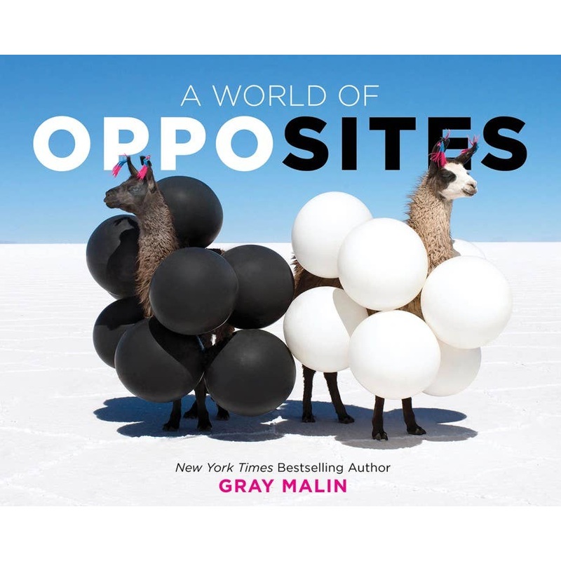 A World of Opposites