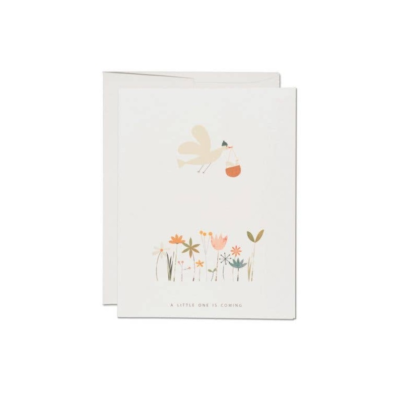 Birdie in Basket baby greeting card