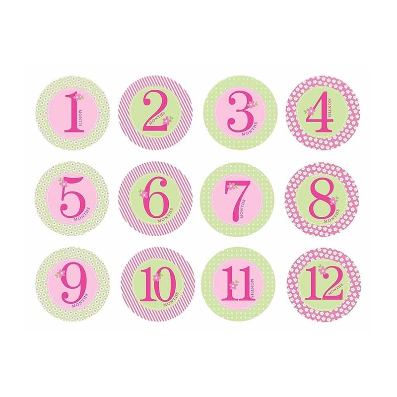 PEARHEAD Baby Milestone Stickers, Pink