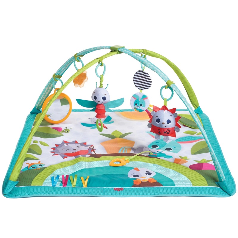 Tiny Love Sunny Days  Gymini