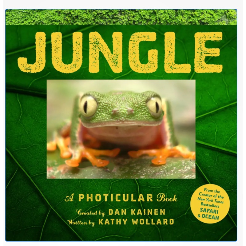 Jungle