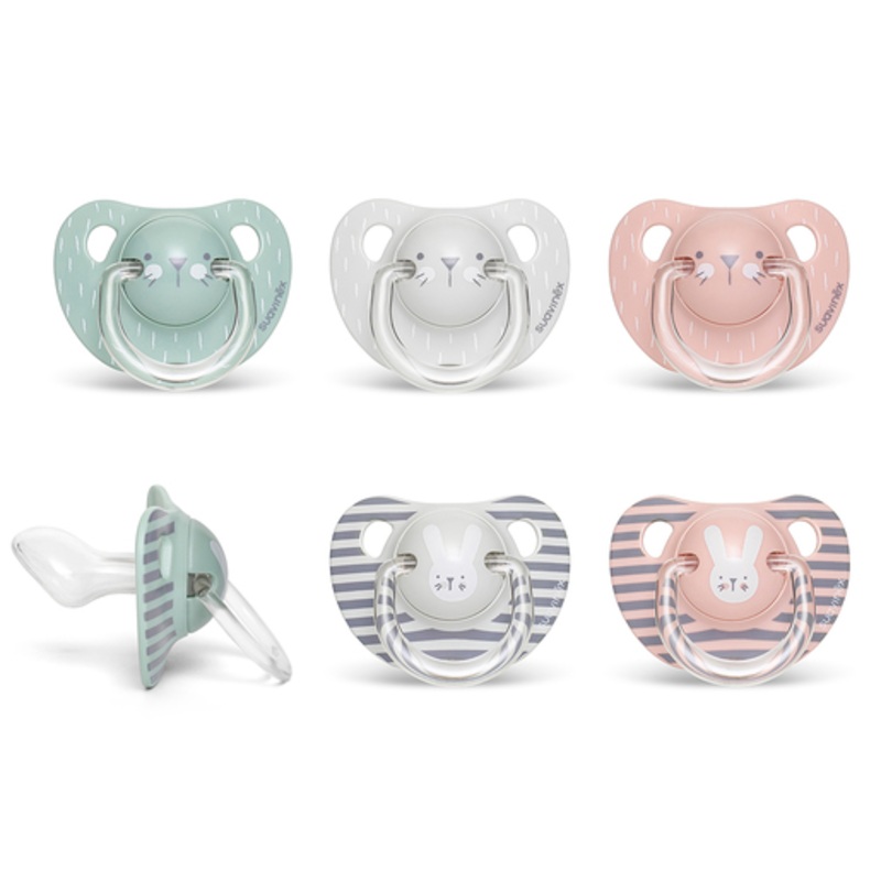 Premium soother anatomical teat 6-18m